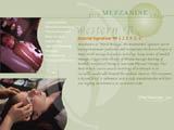 mezzaninespa.com